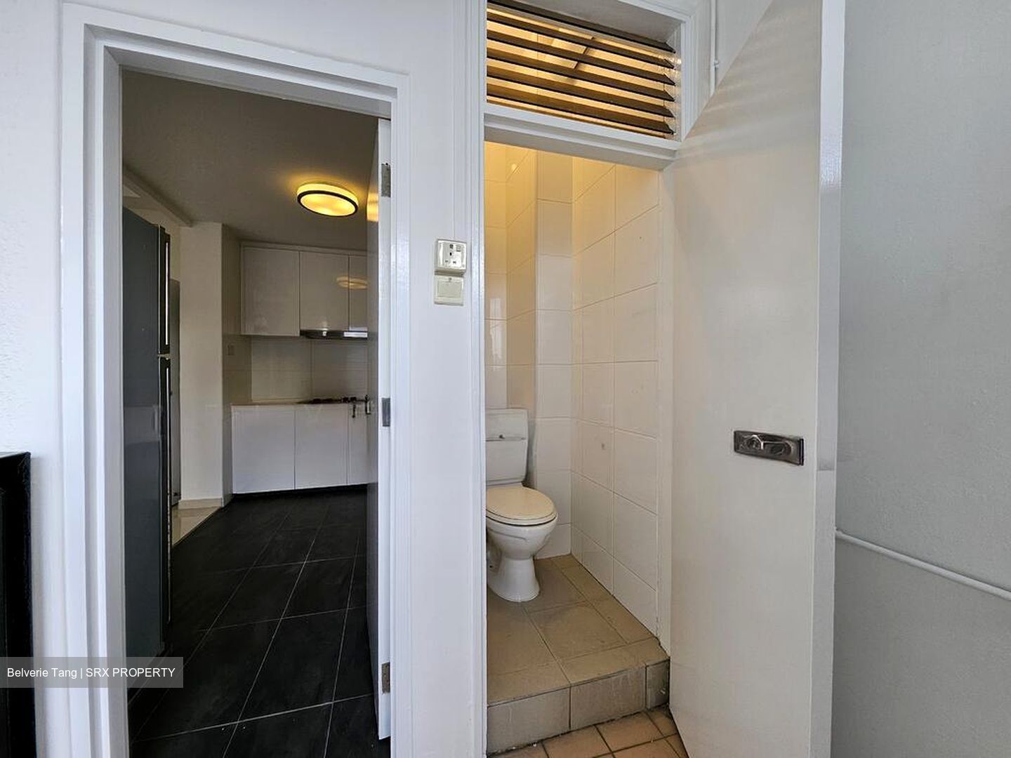 Pastoral View (D11), Apartment #509692441
